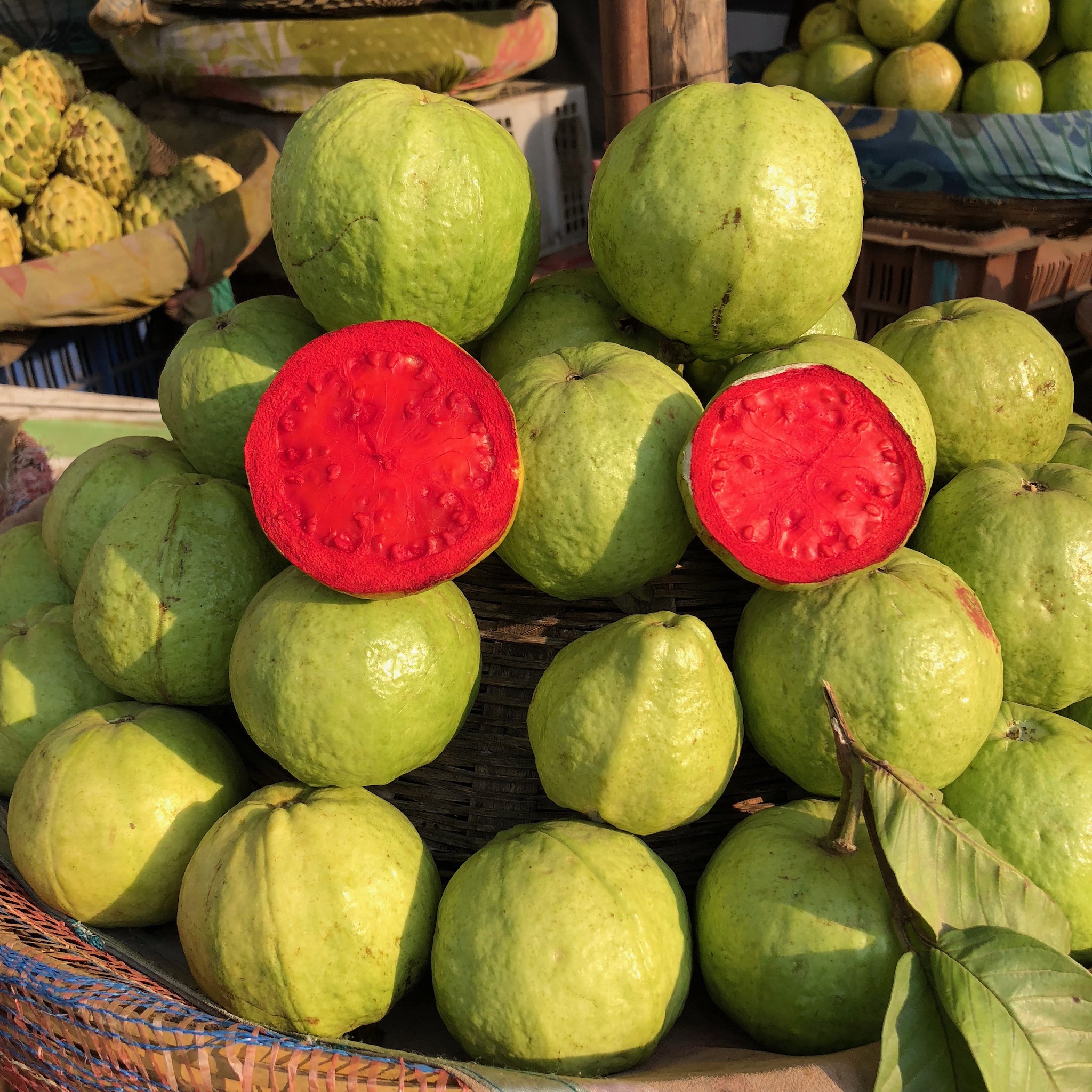 Guava