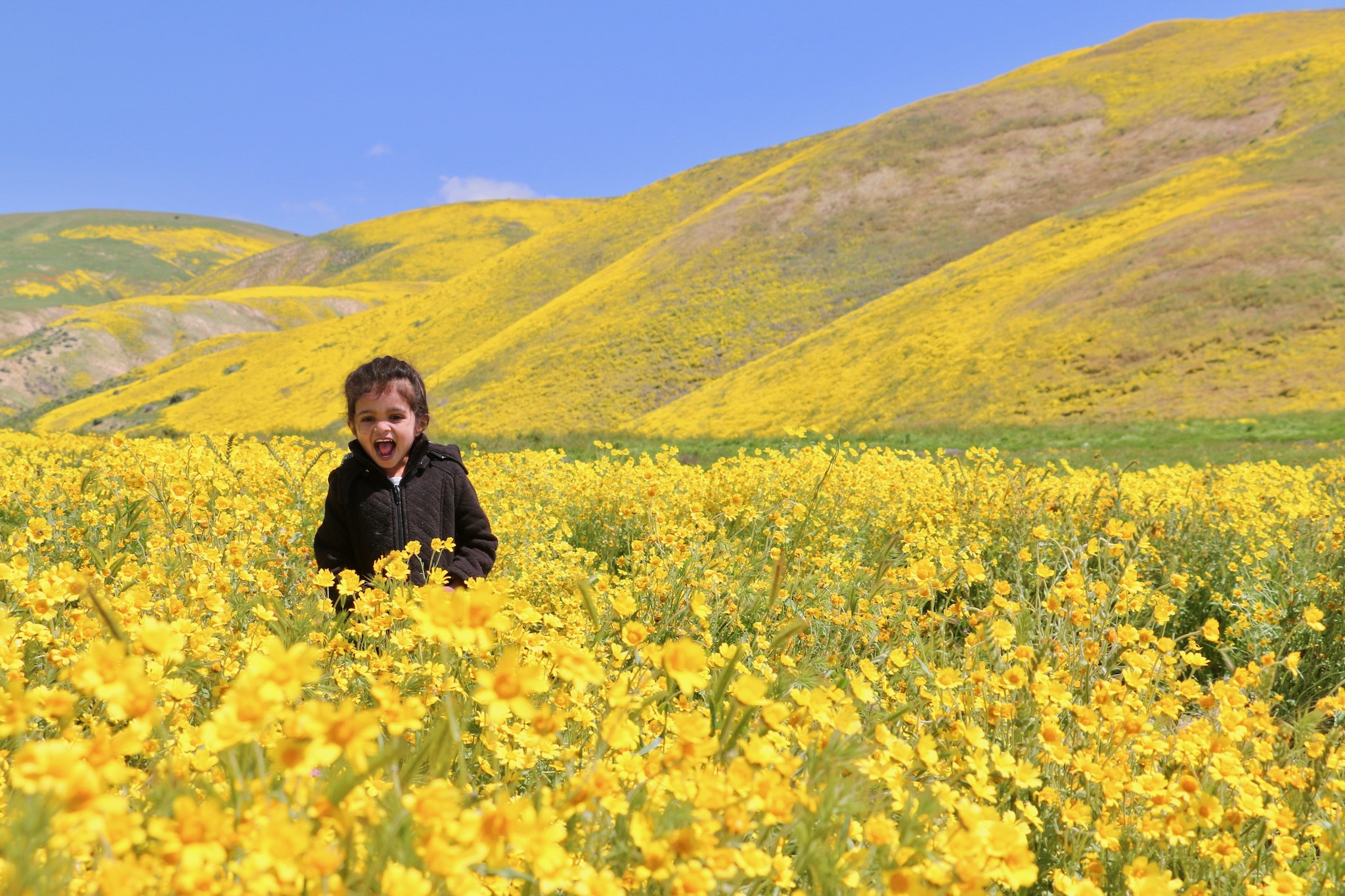 My three year old has no FOMO. Do you?