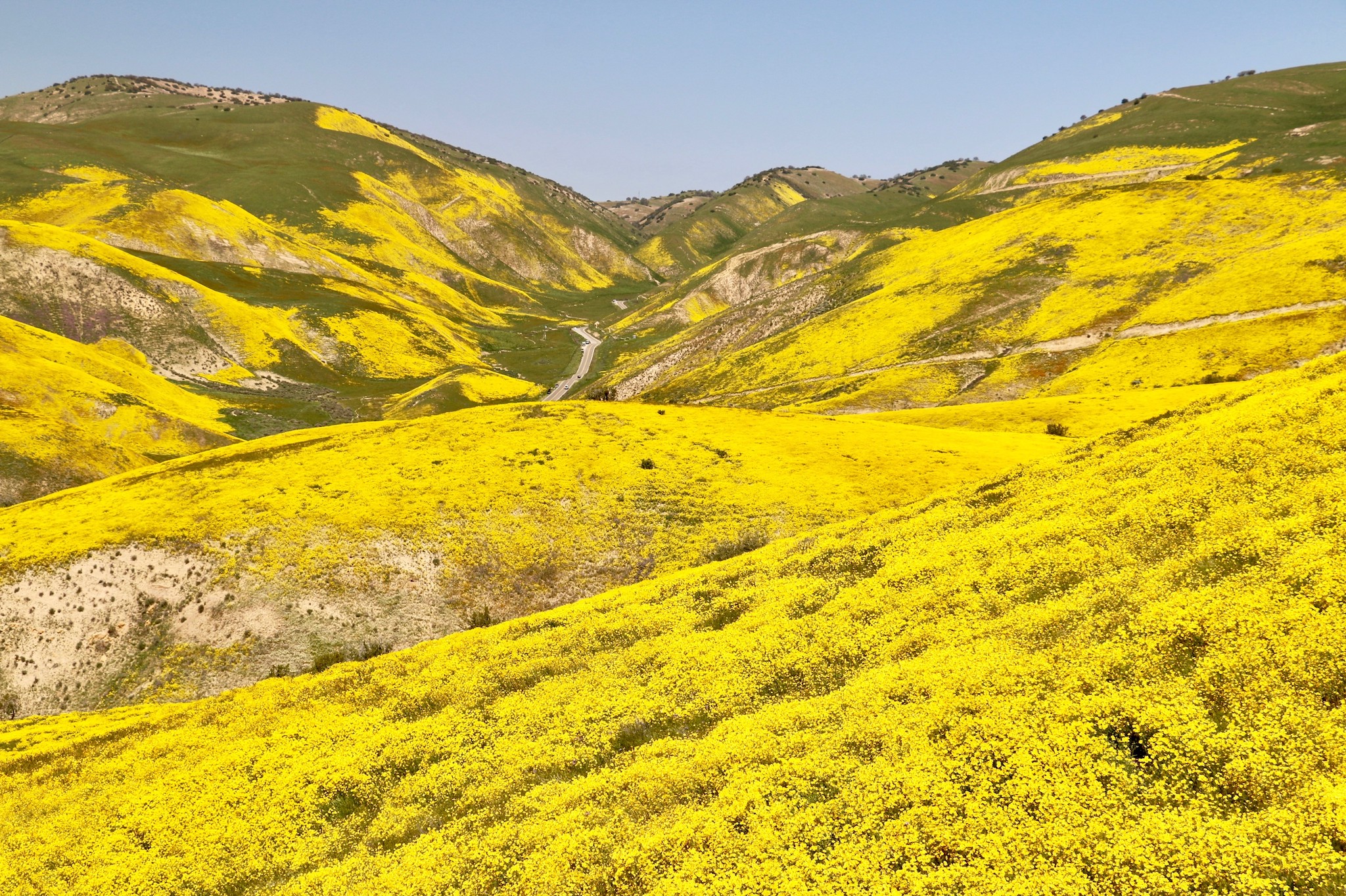 Painted Hillsides