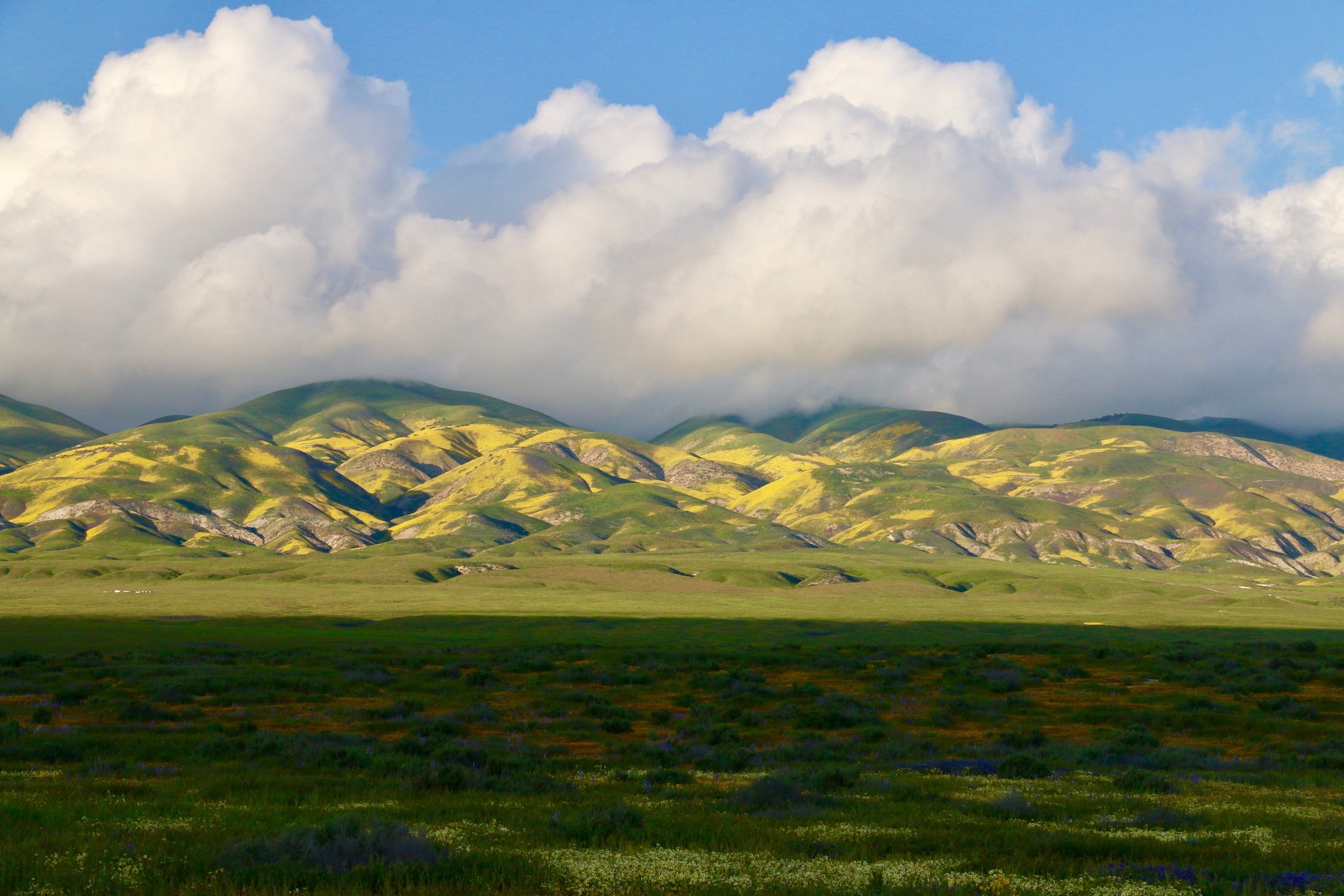Temblor Range