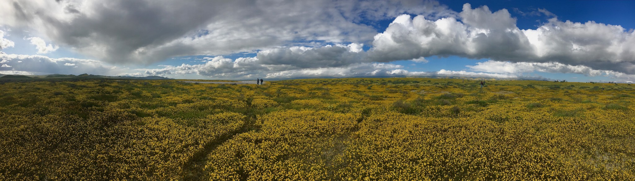 pano