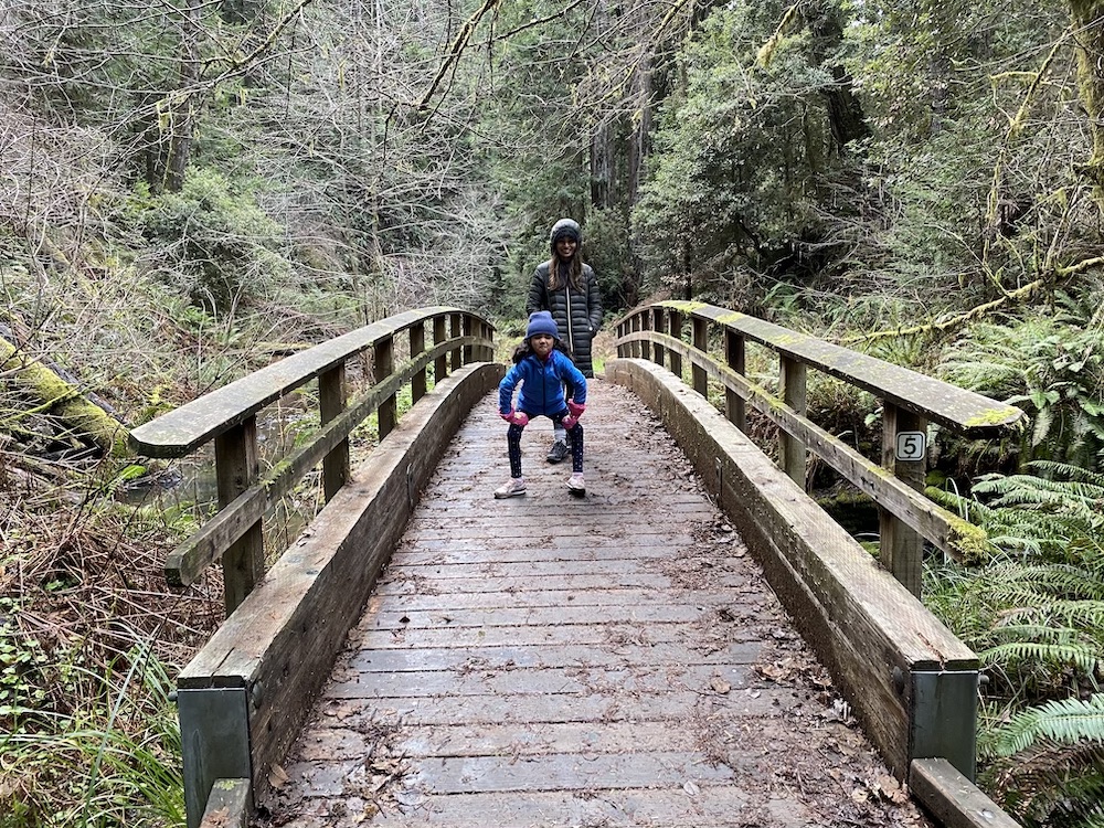 Fern Canyon