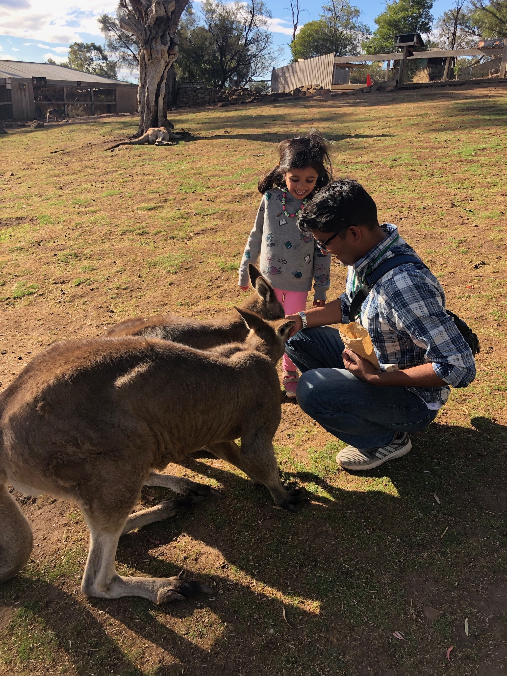 Bonorong Sanctuary