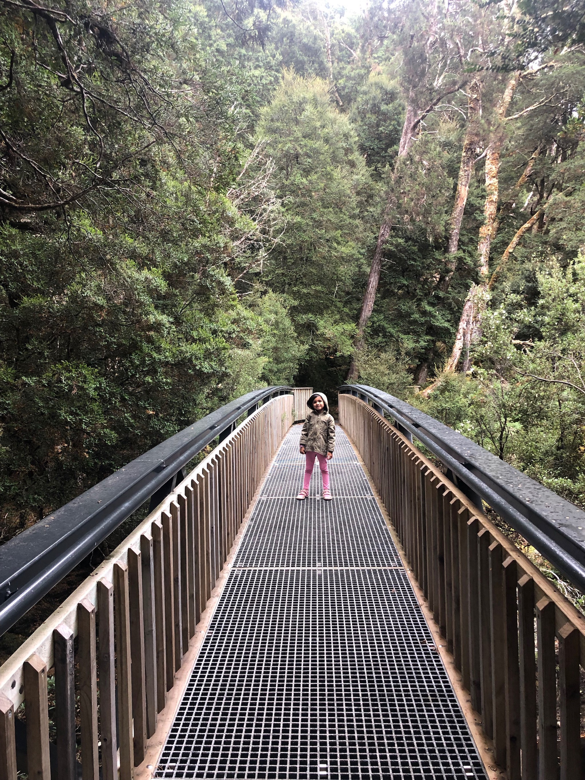 Forest Walk