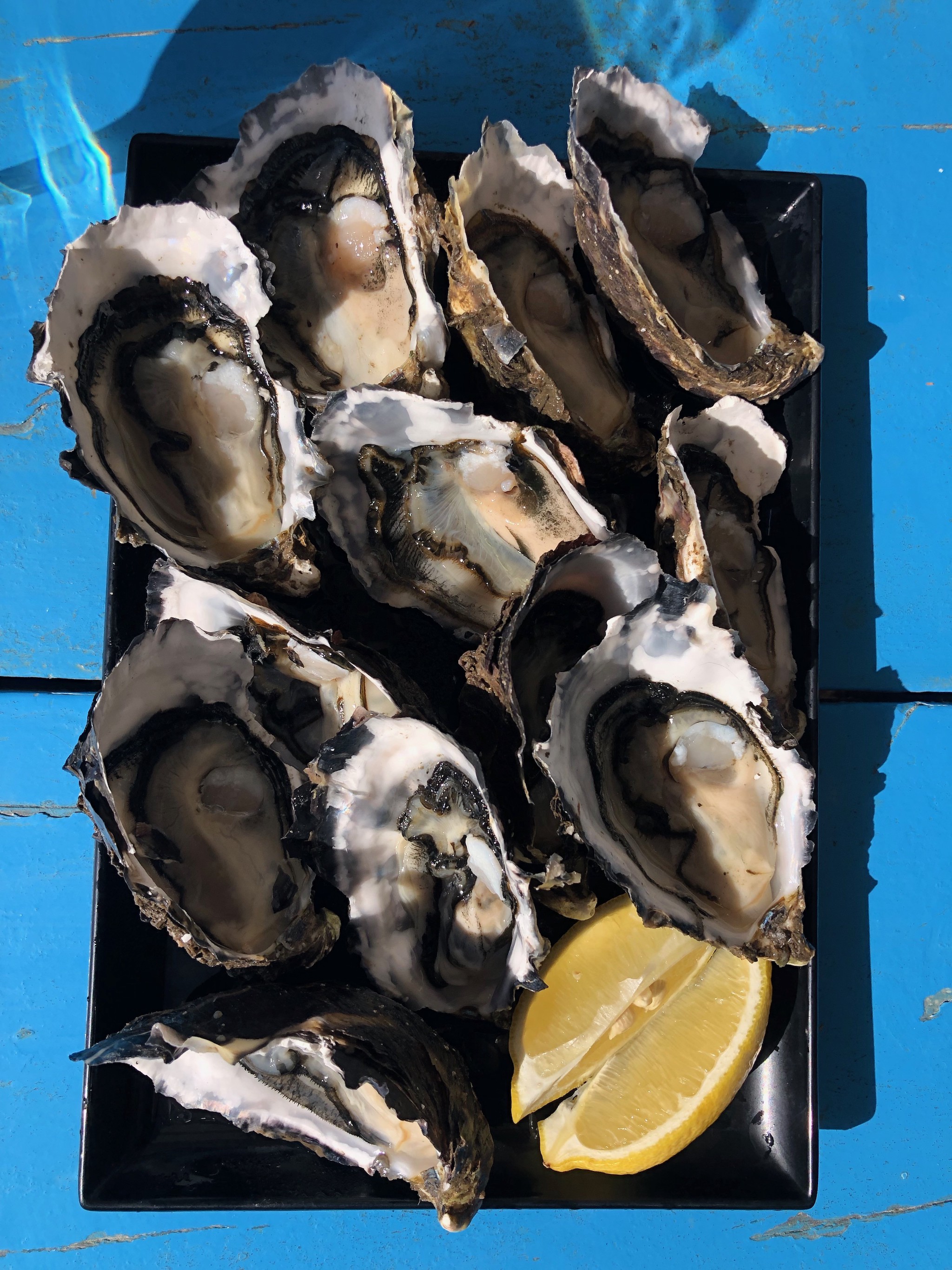 Freycinet Marine Farm